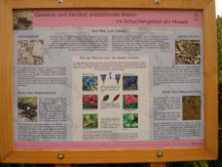 2013-08-18_Regina-F-Rau_Schachen_Alpengarten (770).JPG